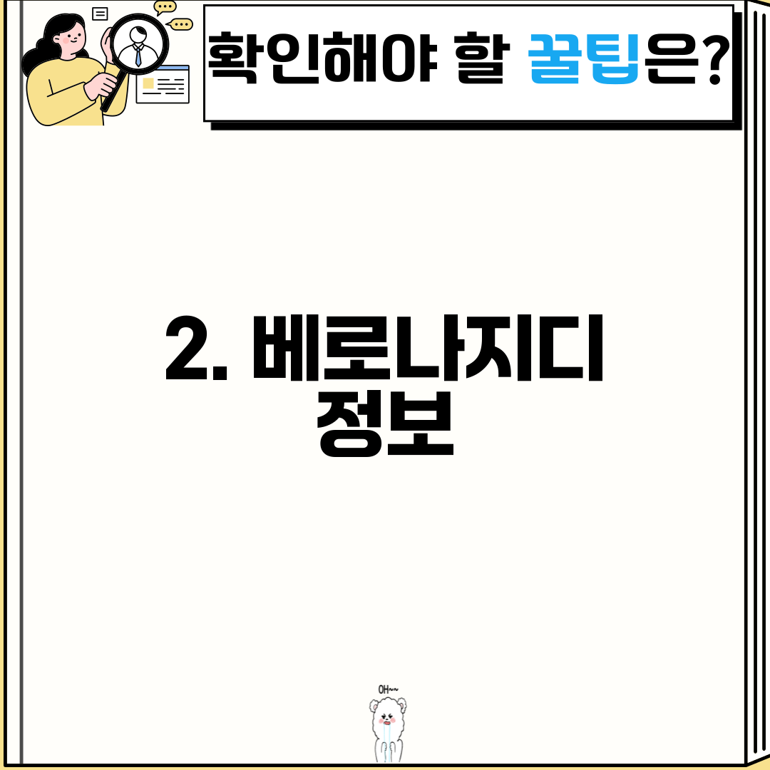 2. 베로나지디 정보