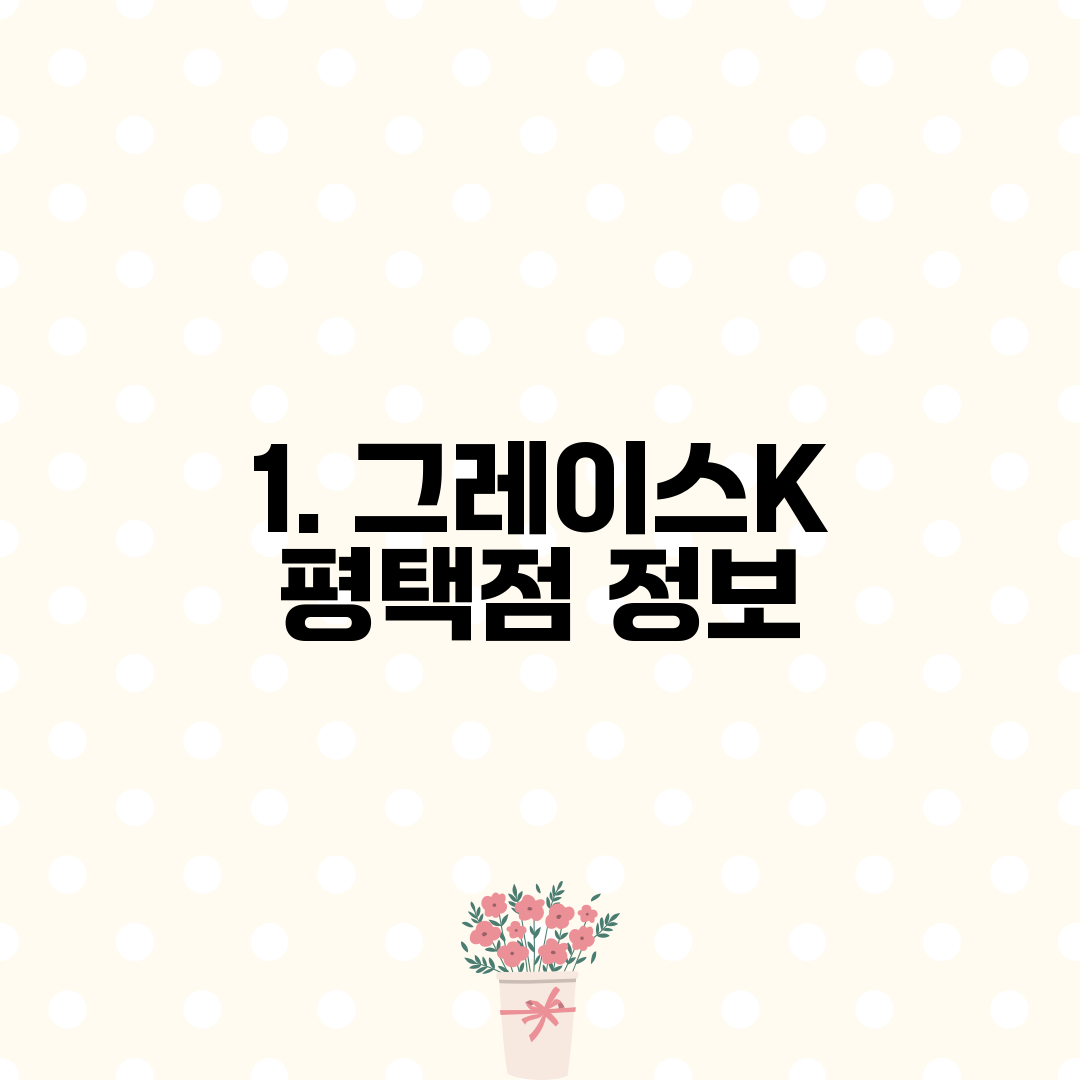 1. 그레이스K 평택점 정보