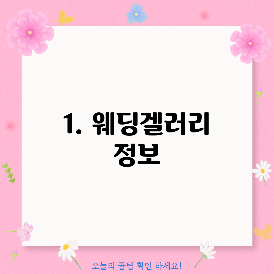 1. 웨딩겔러리 정보