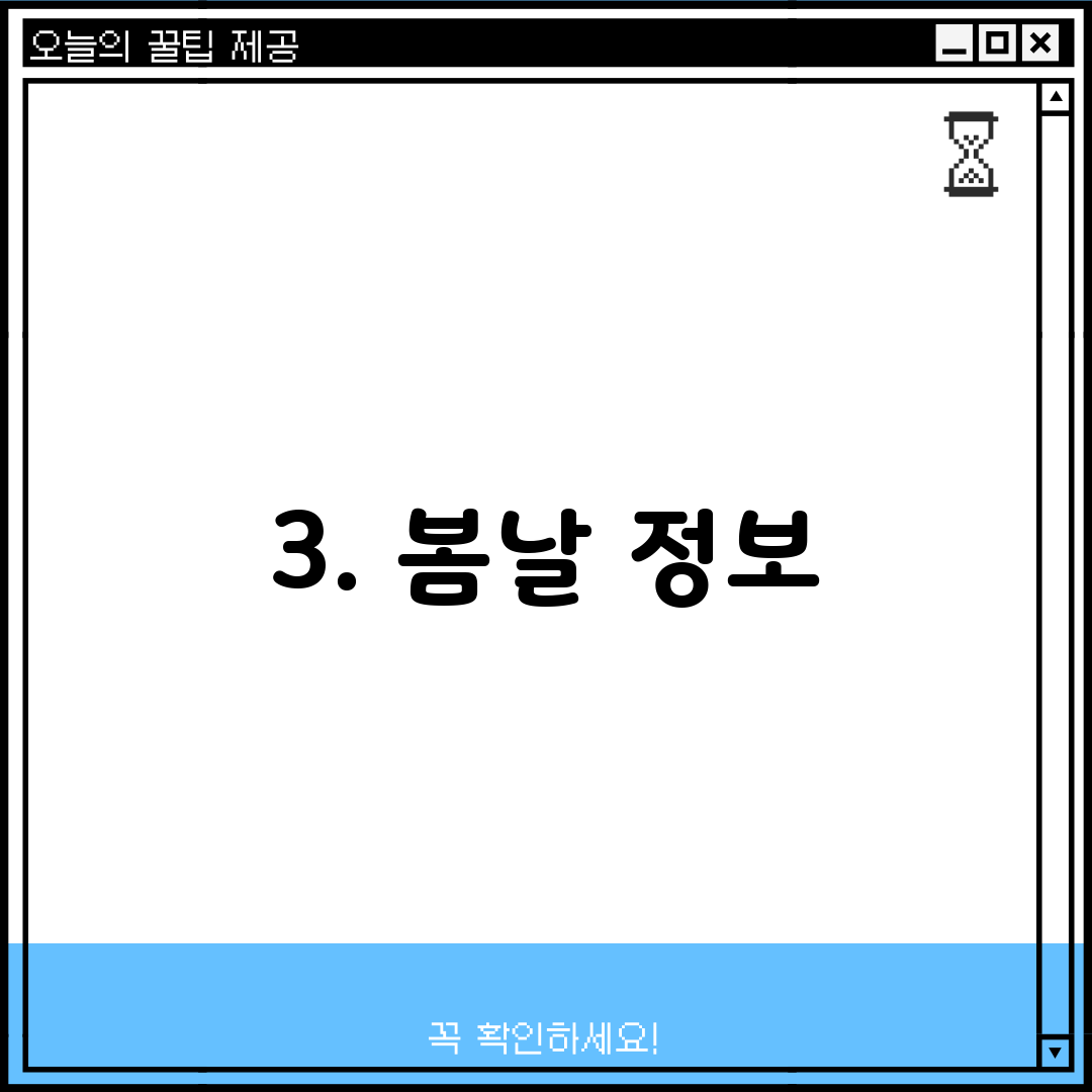 3. 봄날 정보