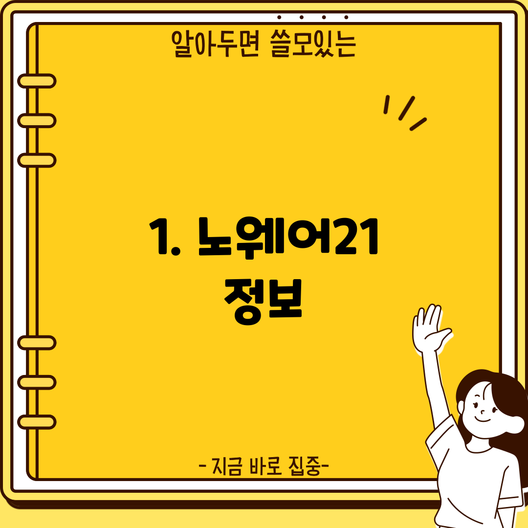 1. 노웨어21 정보
