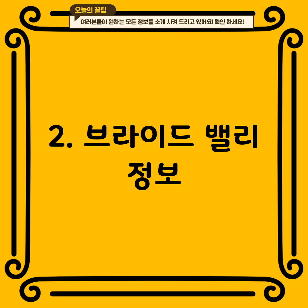 2. 브라이드 밸리 정보