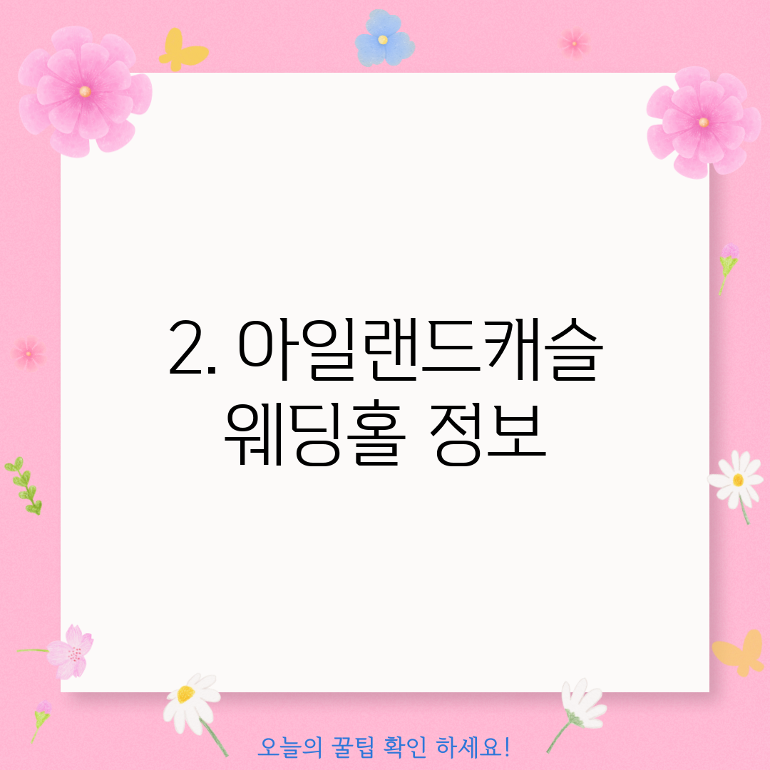 2. 아일랜드캐슬 웨딩홀 정보