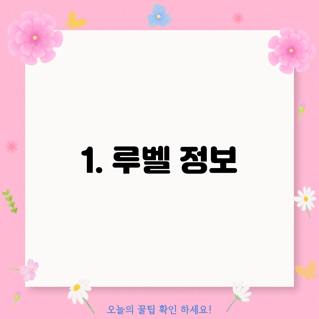 1. 루벨 정보