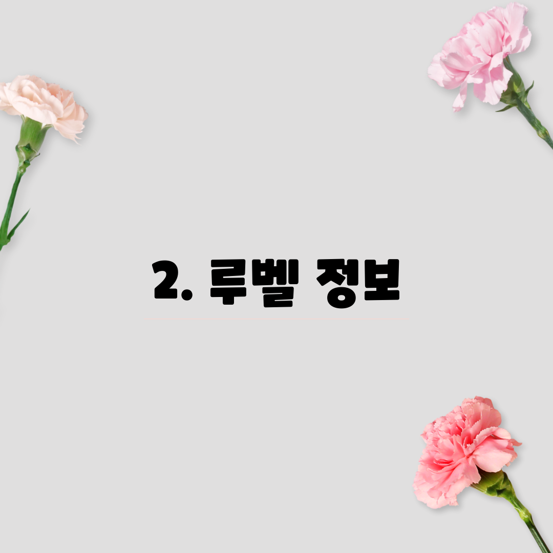 2. 루벨 정보