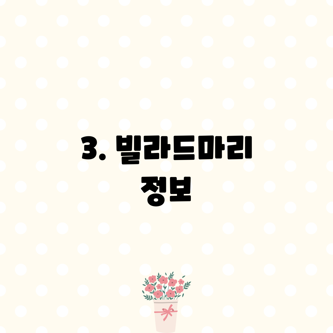 3. 빌라드마리 정보