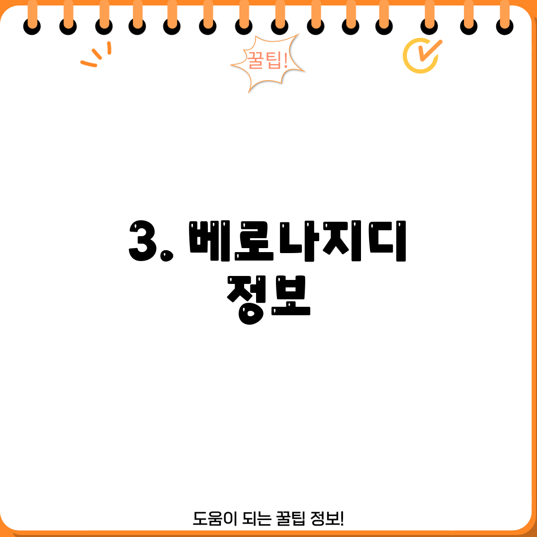 3. 베로나지디 정보
