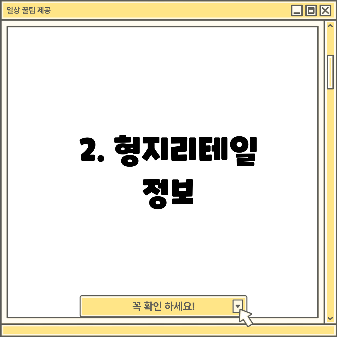 2. 형지리테일 정보