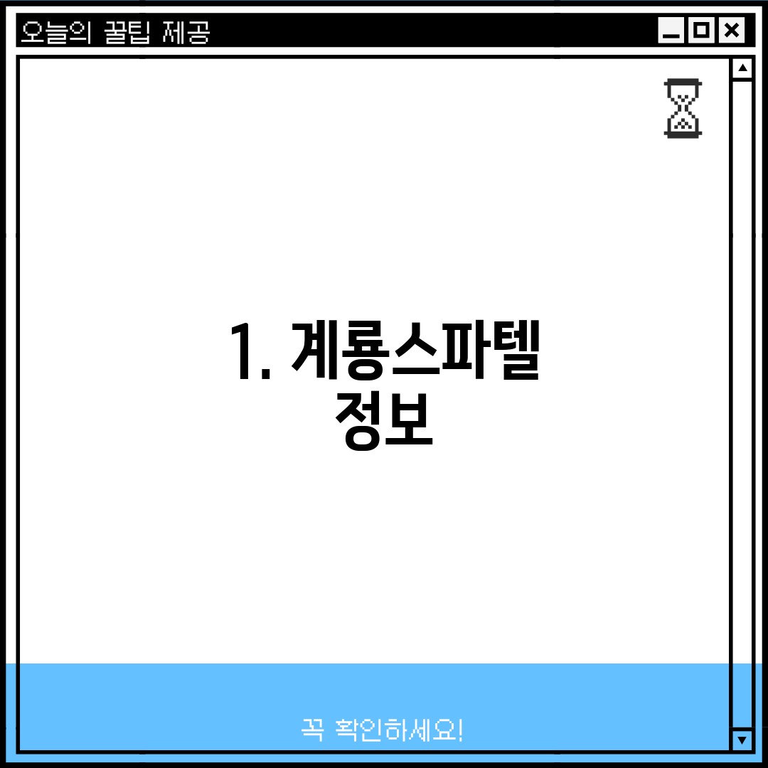 1. 계룡스파텔 정보