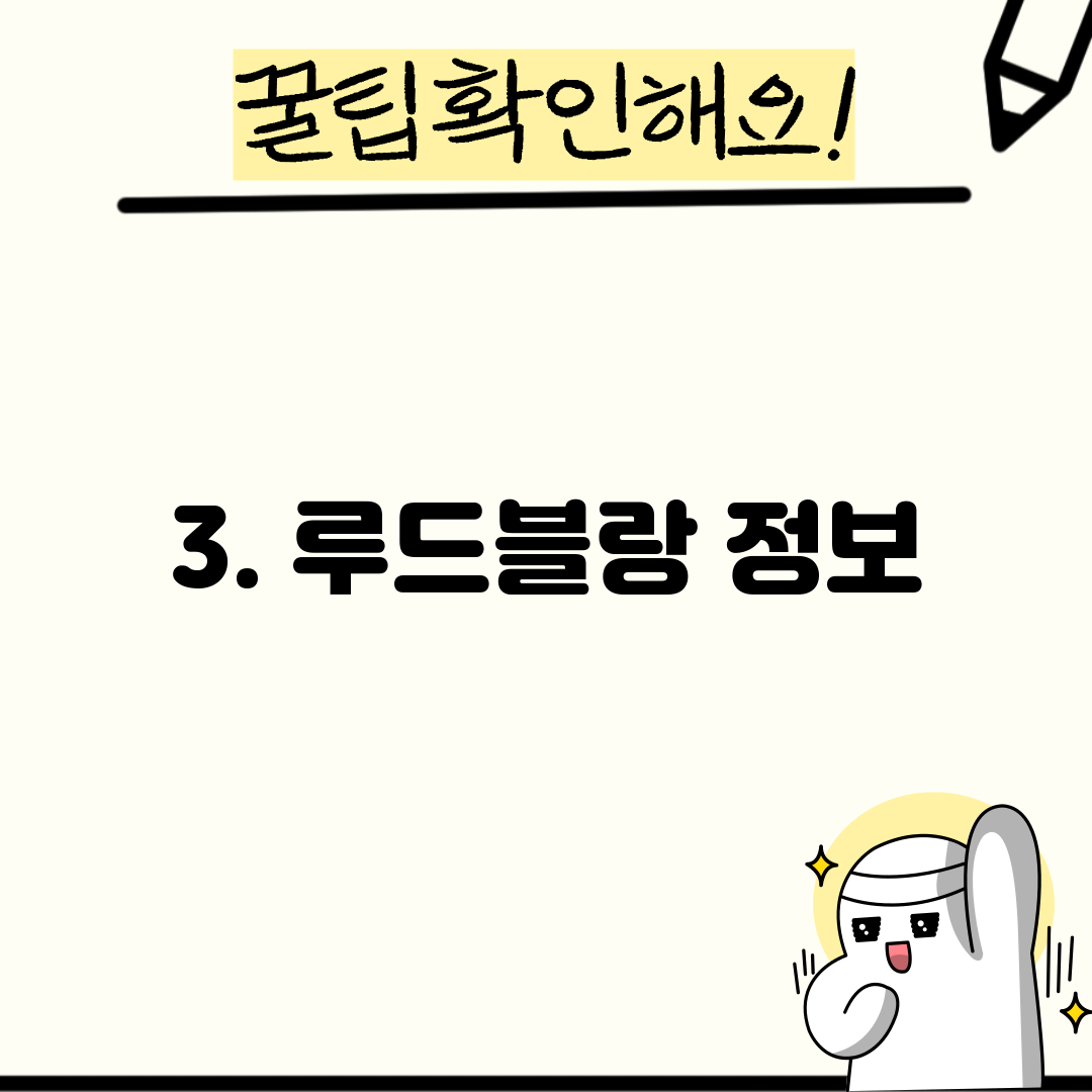 3. 루드블랑 정보