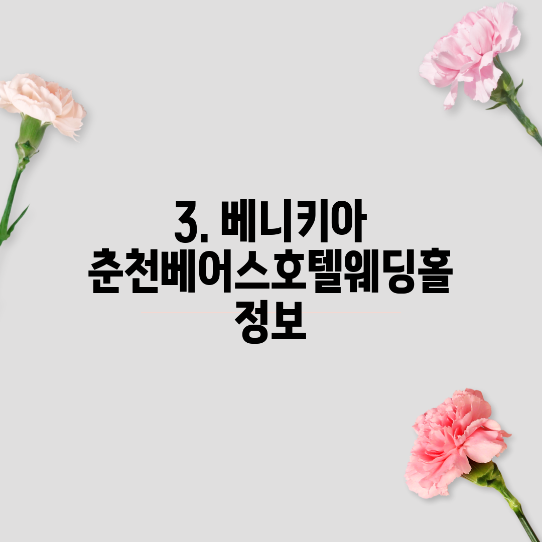 3. 베니키아 춘천베어스호텔웨딩홀 정보