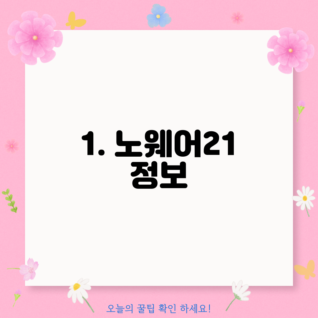 1. 노웨어21 정보