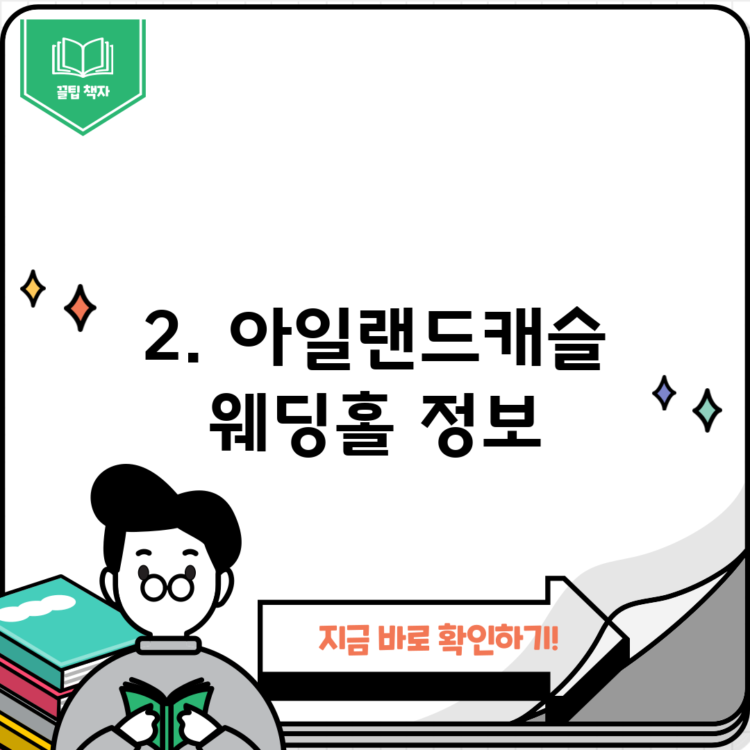 2. 아일랜드캐슬 웨딩홀 정보