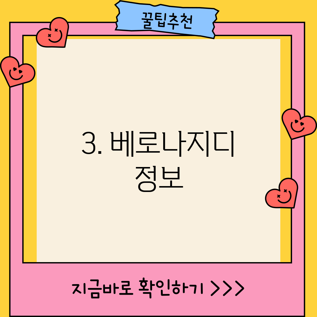 3. 베로나지디 정보