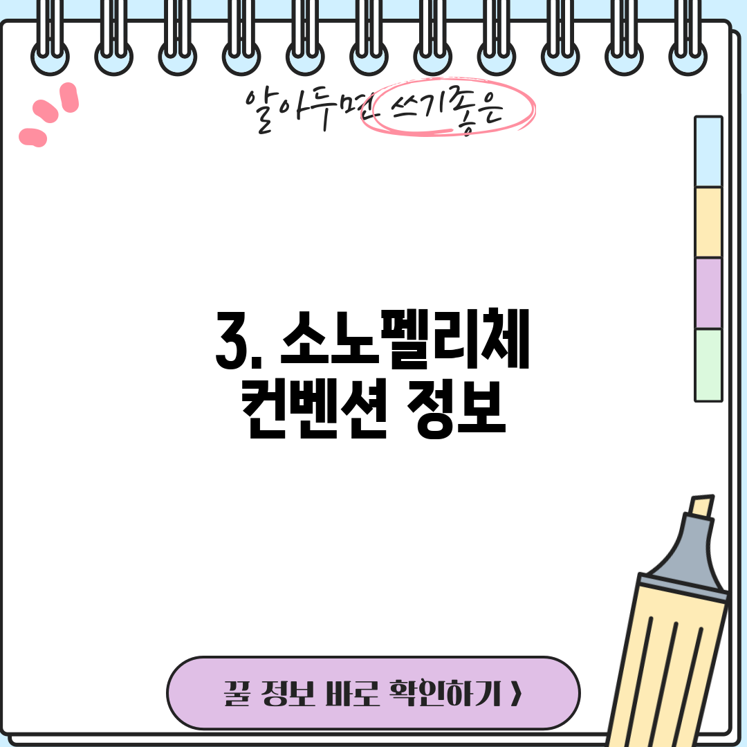3. 소노펠리체 컨벤션 정보