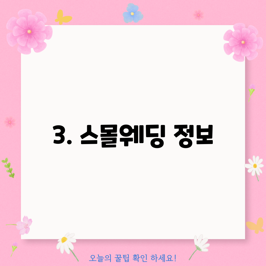 3. 스몰웨딩 정보
