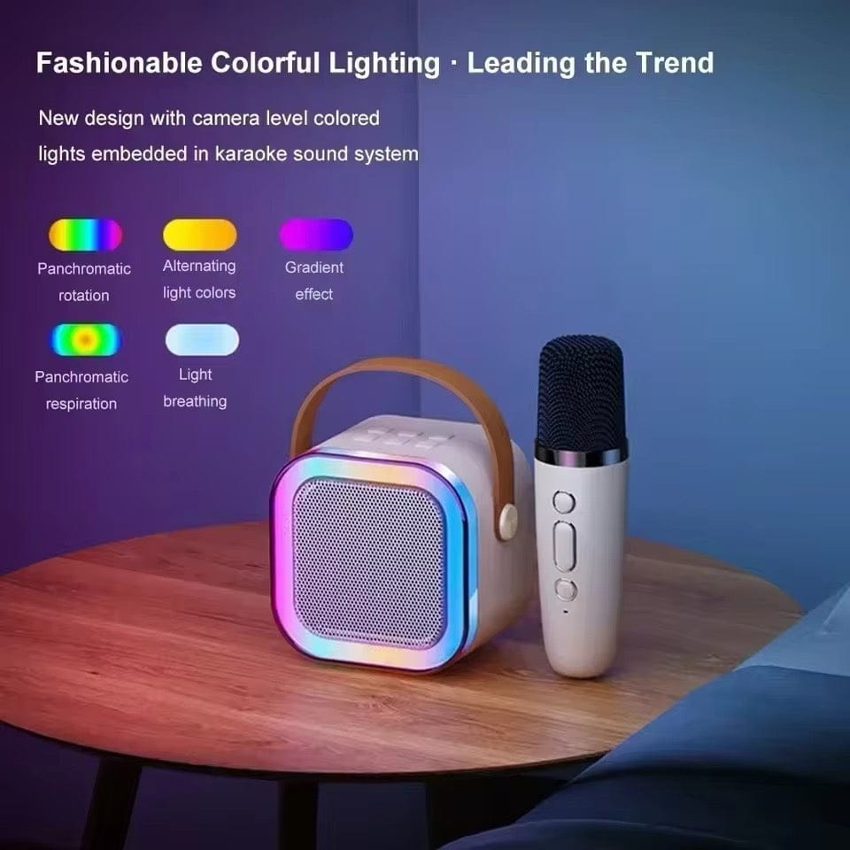 Portable Bluetooth Karaoke Machine 4
