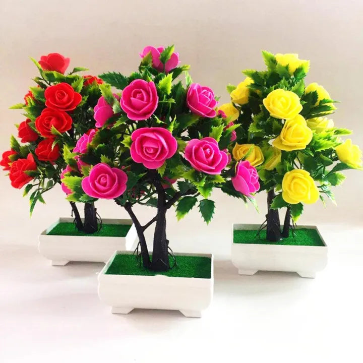 Home Decor Plants 3