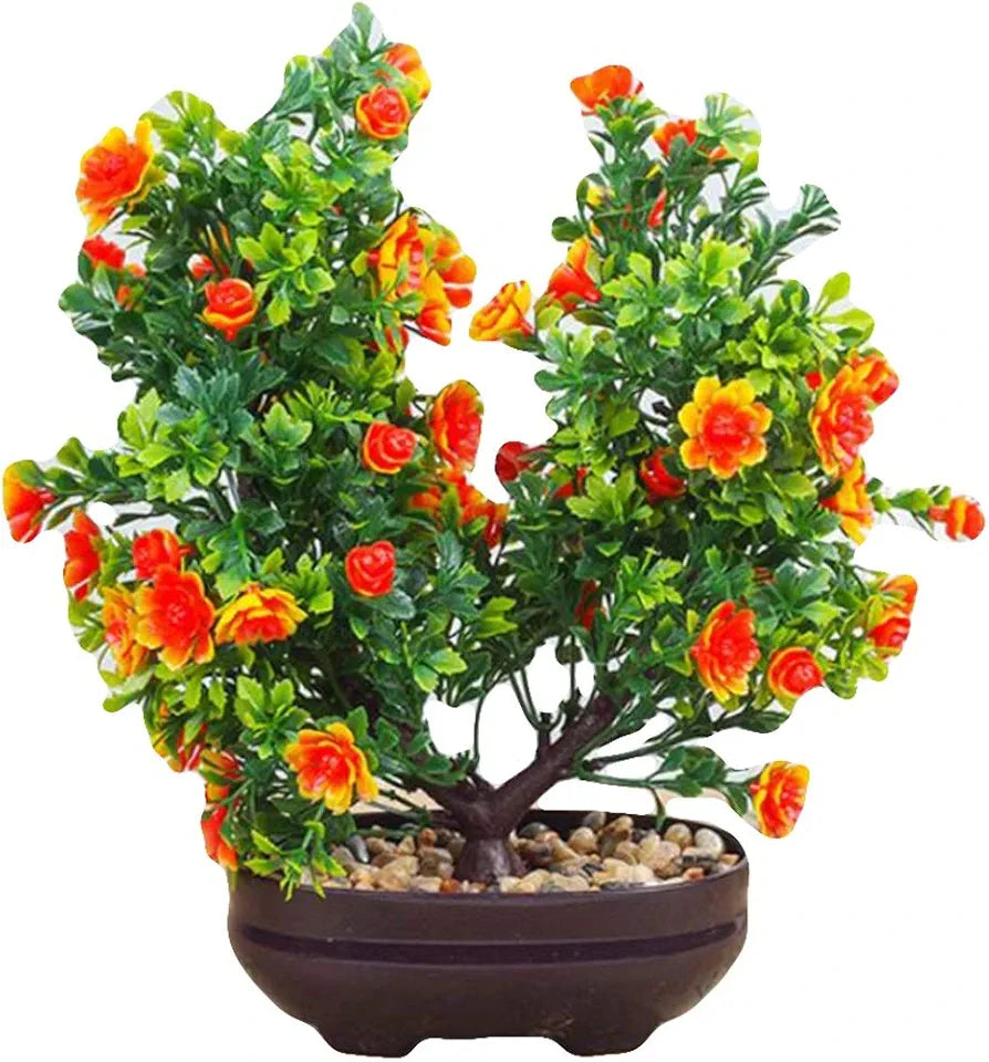 Home Decor Plants 4