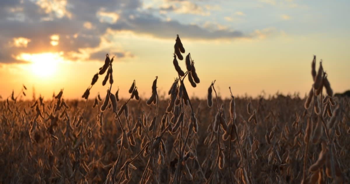 deLITTN0L 1200x630 1