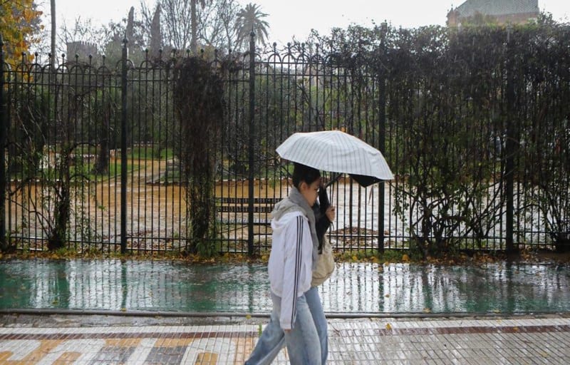 parque cerrado doblado U46838270347fpS 1024x512@diario abc