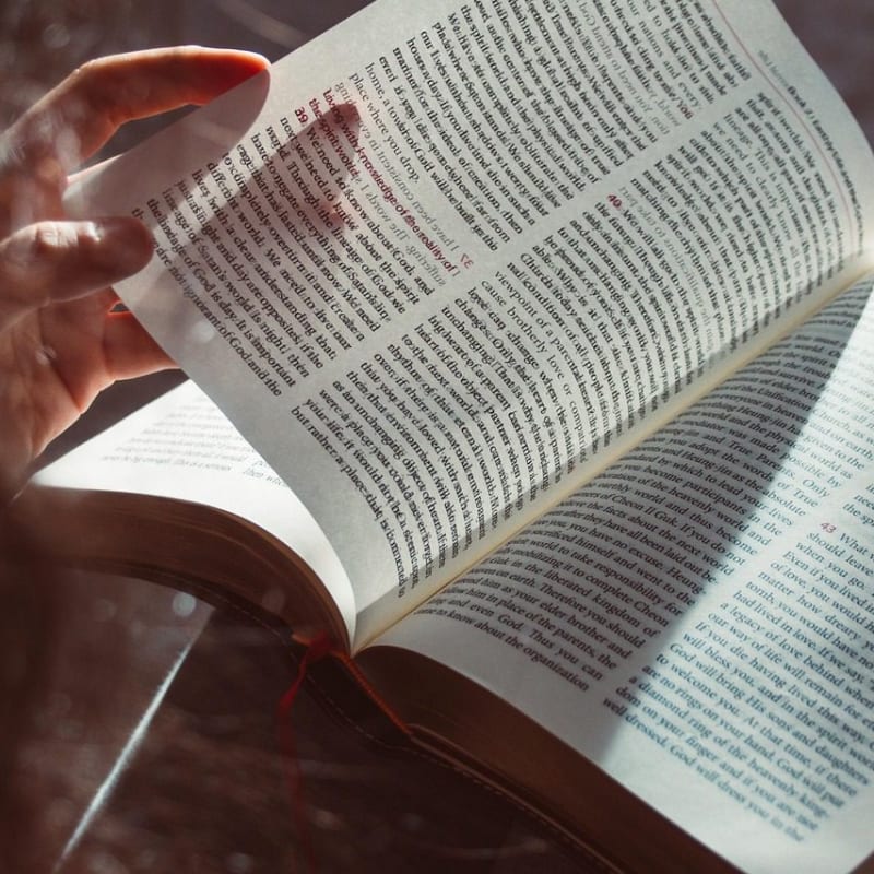 Imagen relacionada con CODIGOS SAGRADOS DE AGESTA, 2026