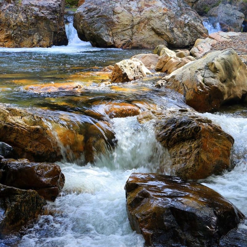 Imagen relacionada con Se rumorea que la Elite va por el AGUA, DOLOR DE ESTÓMAGO