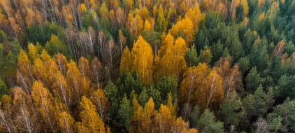 Diversity and Inclusion Initiatives: Building a More Equitable Workplace