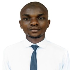 Ayobami Ismail Opeyemi