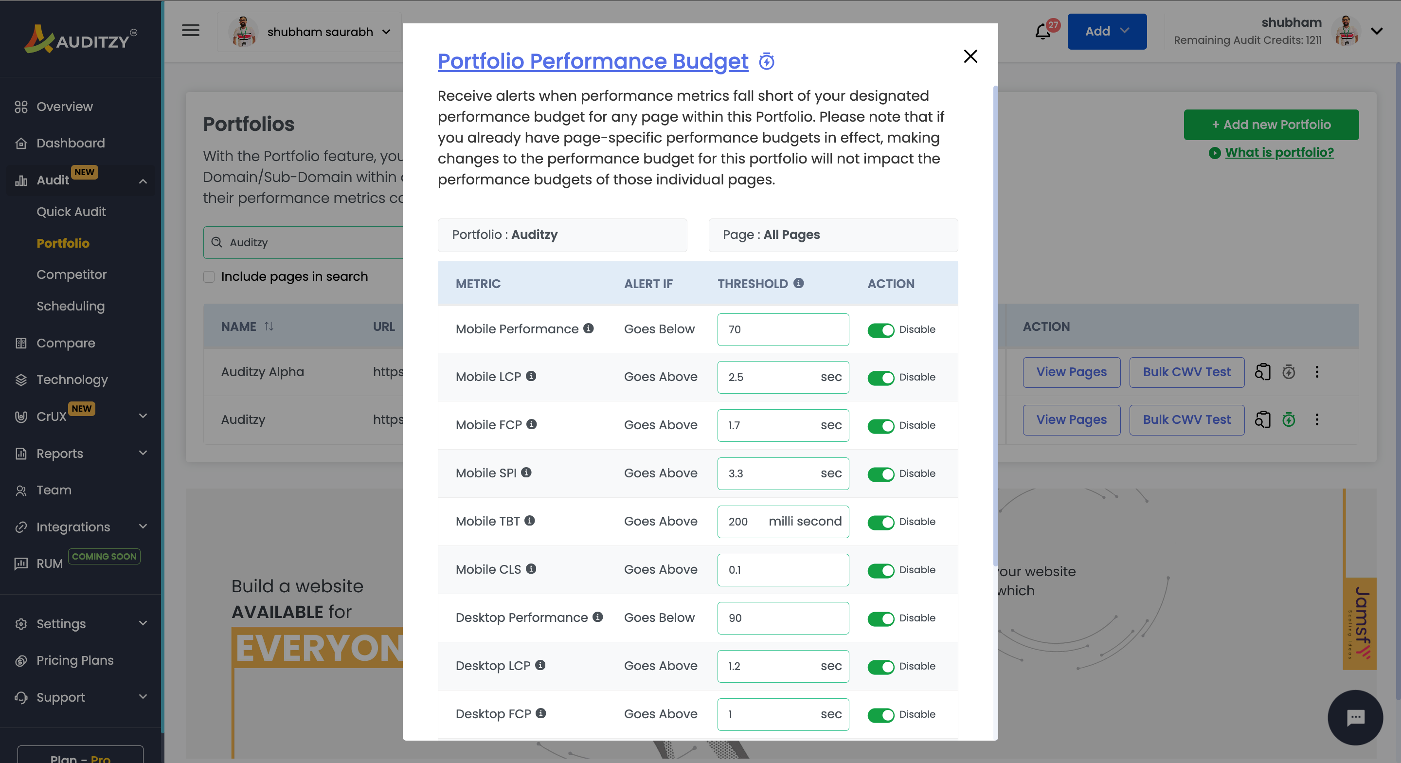 Domain-Based-Web-Performance-Budget-Auditzy