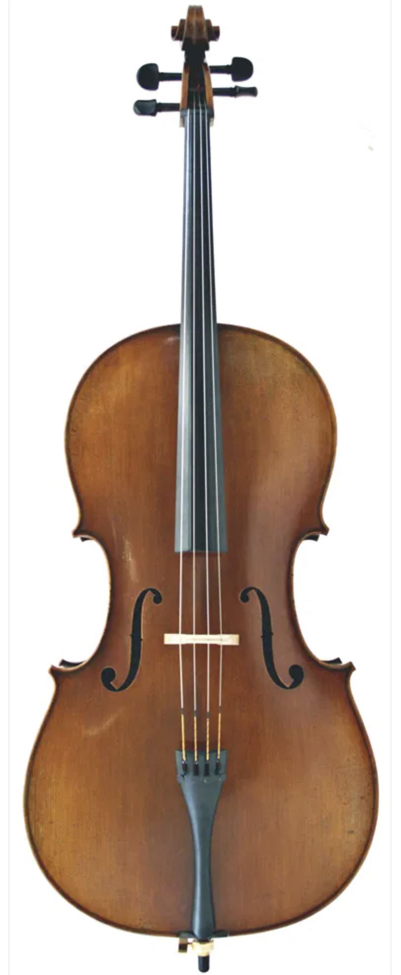 Eastman Young Master CELLO - Image 1