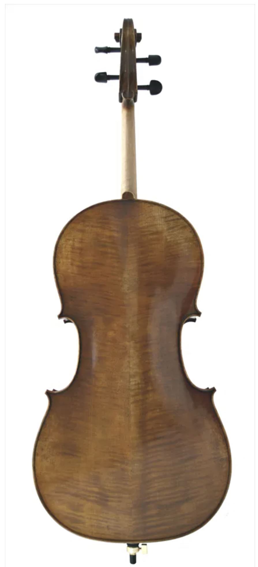 Eastman Young Master CELLO - Image 2