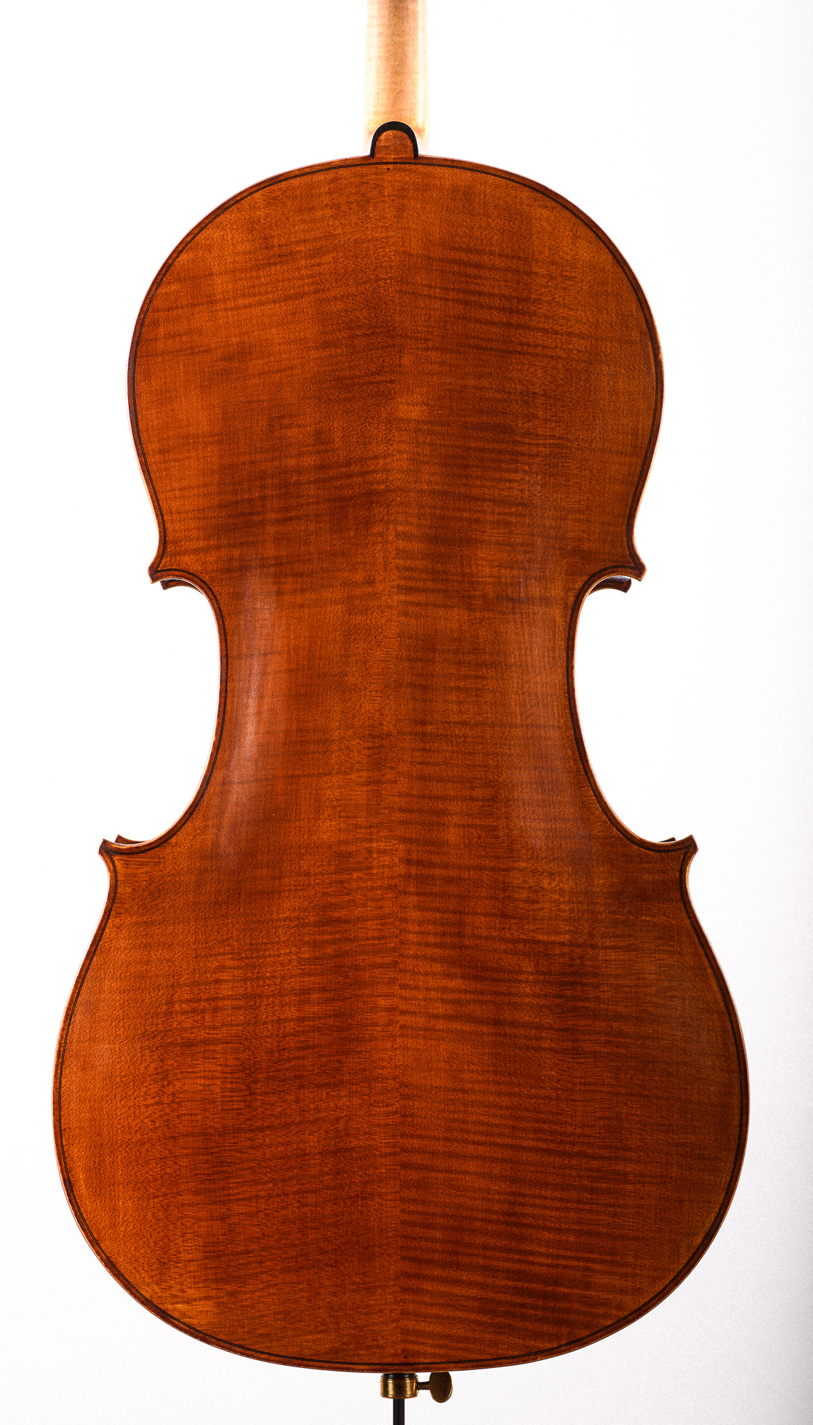 Fine English Cello by Martin Penning  - Image 2