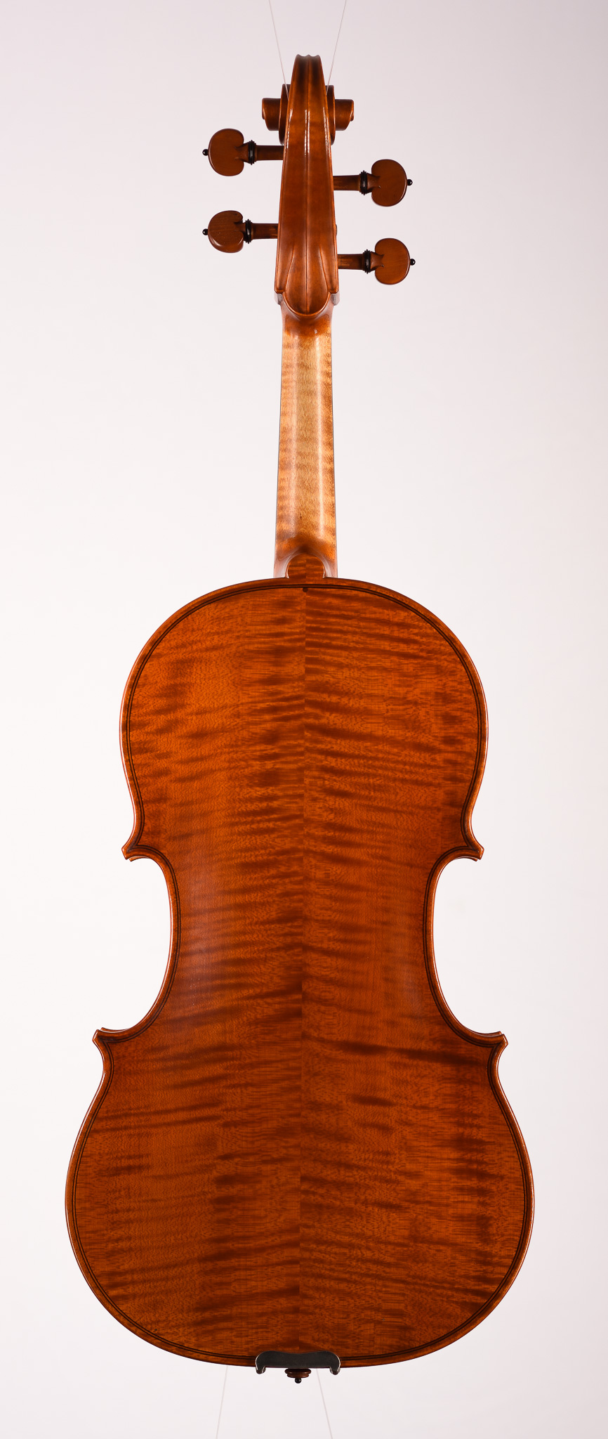 English viola  - Image 1