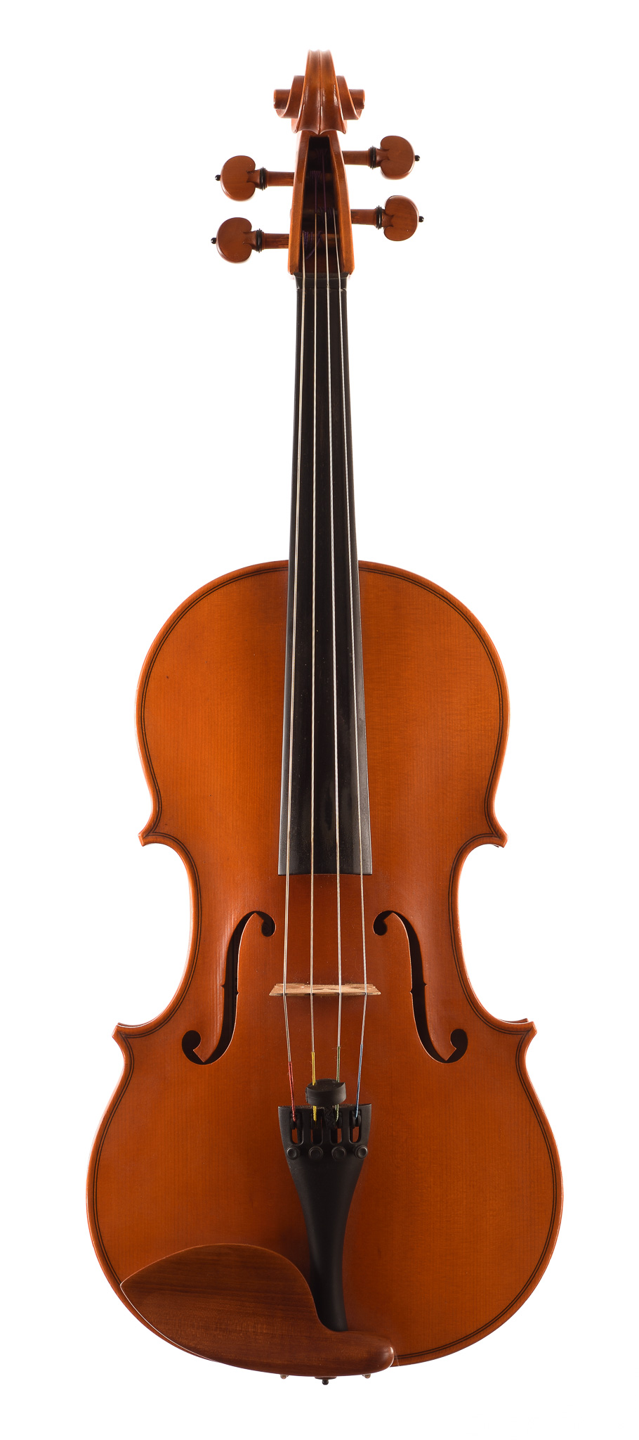 English viola  - Image 2
