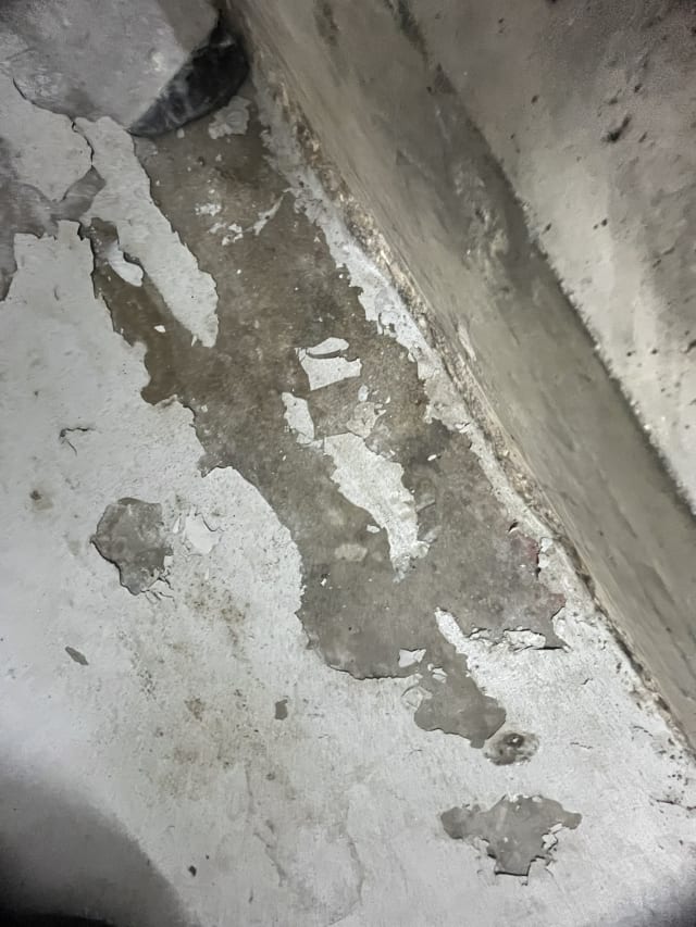 Floor surface after grinding and cleaning.