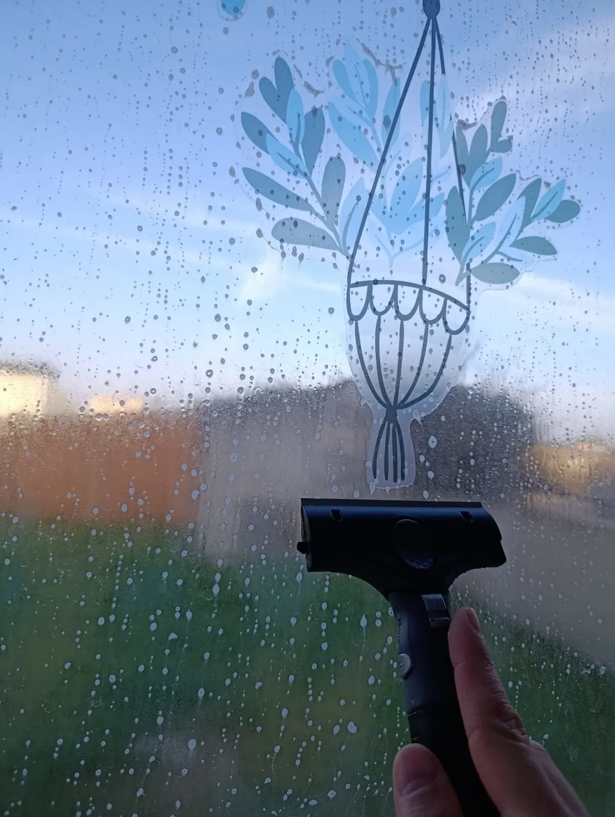 Eliminación de pegatinas y suciedad incrustada en el cristal