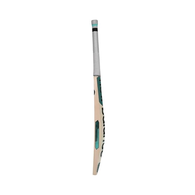 NB TC 300i Max Kashmir Willow Cricket Bats - Image 4