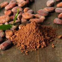 Cocoa Bean Extract - Cellucare Ingredients