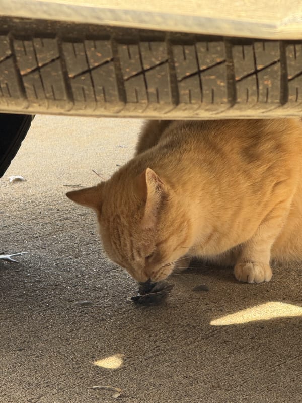 Larry doing his thang…