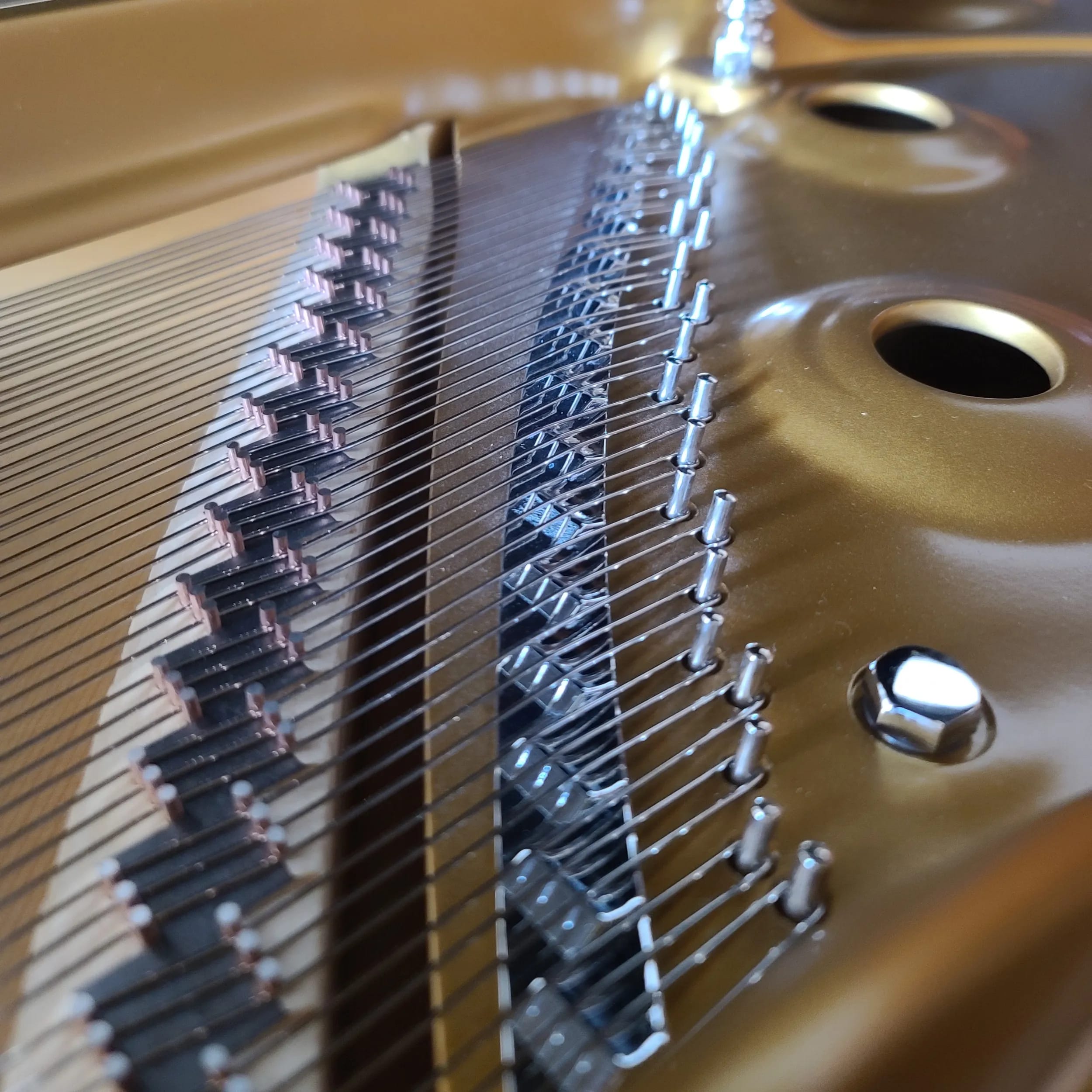 Beautiful Steinway Grand Piano