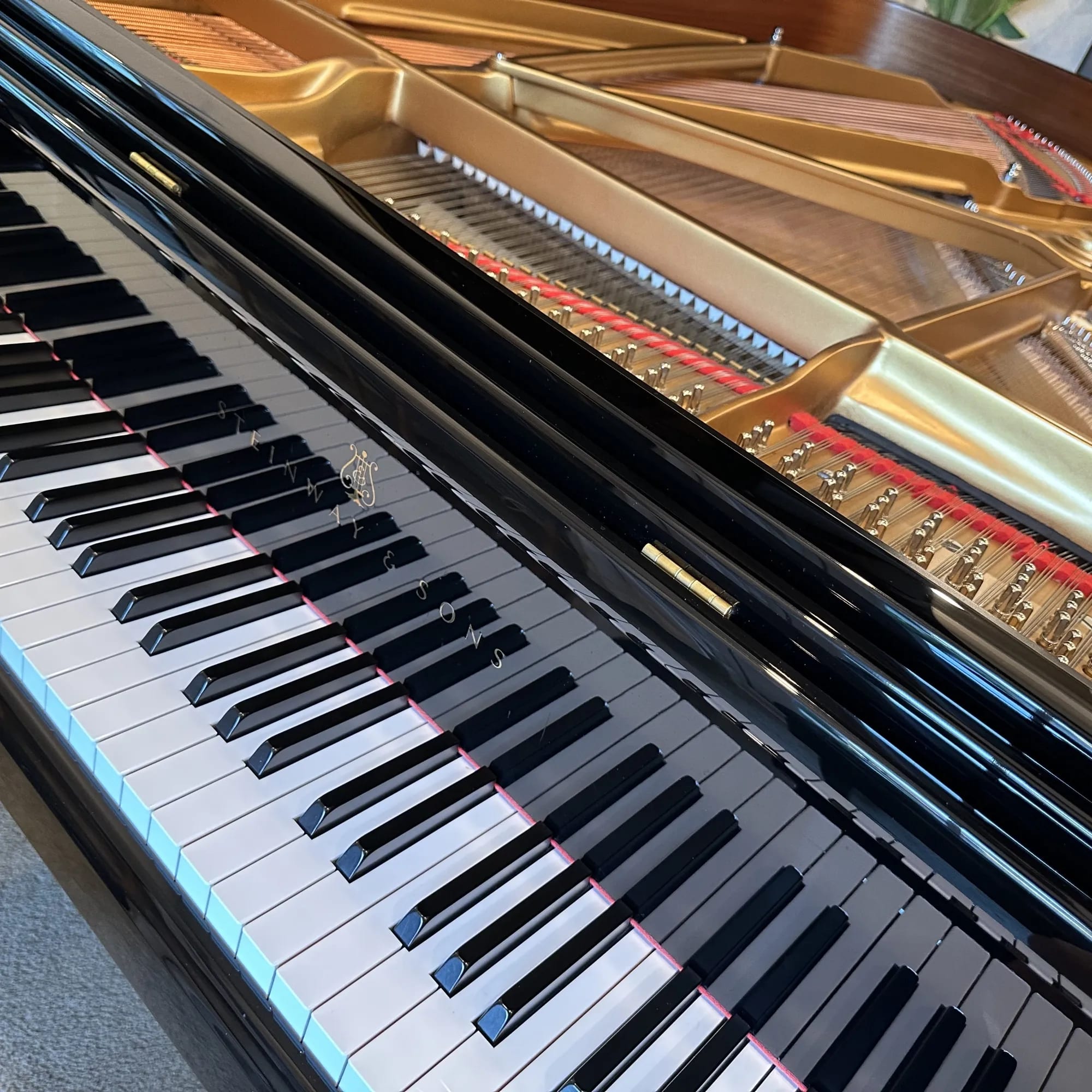 Steinway spirio service