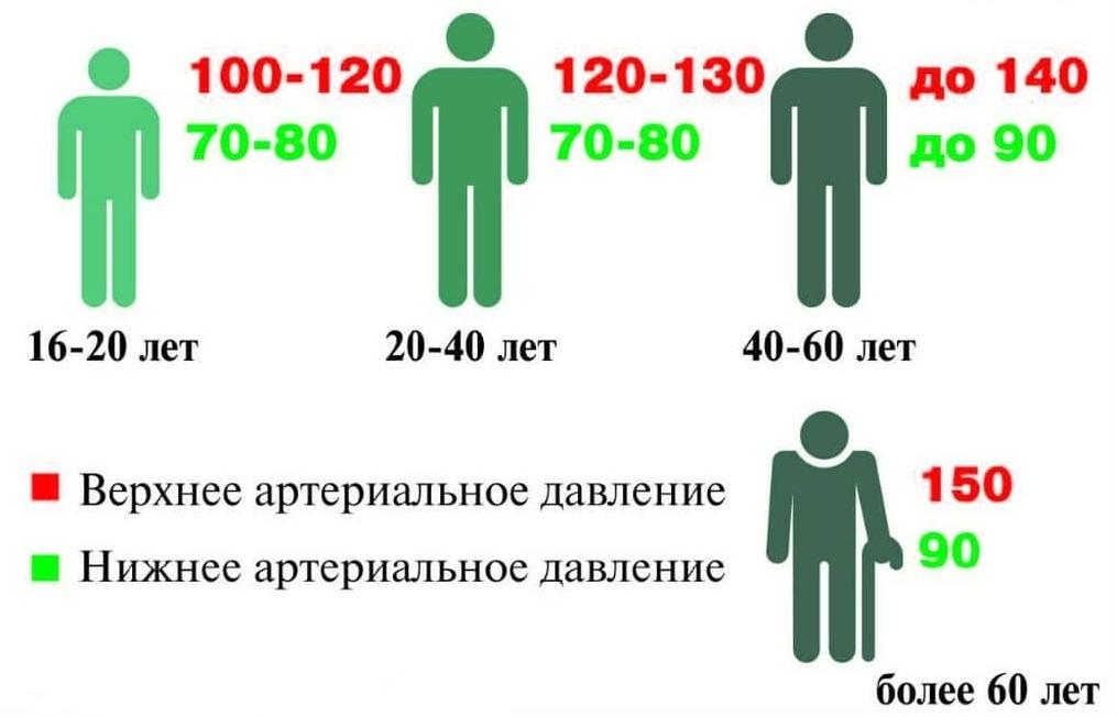 Давление и пульс норма у женщин 50. Давление норма у женщин по возрасту таблица. Давление у человека норма 80. Нормы давления по возрасту. Давление по возрасту.