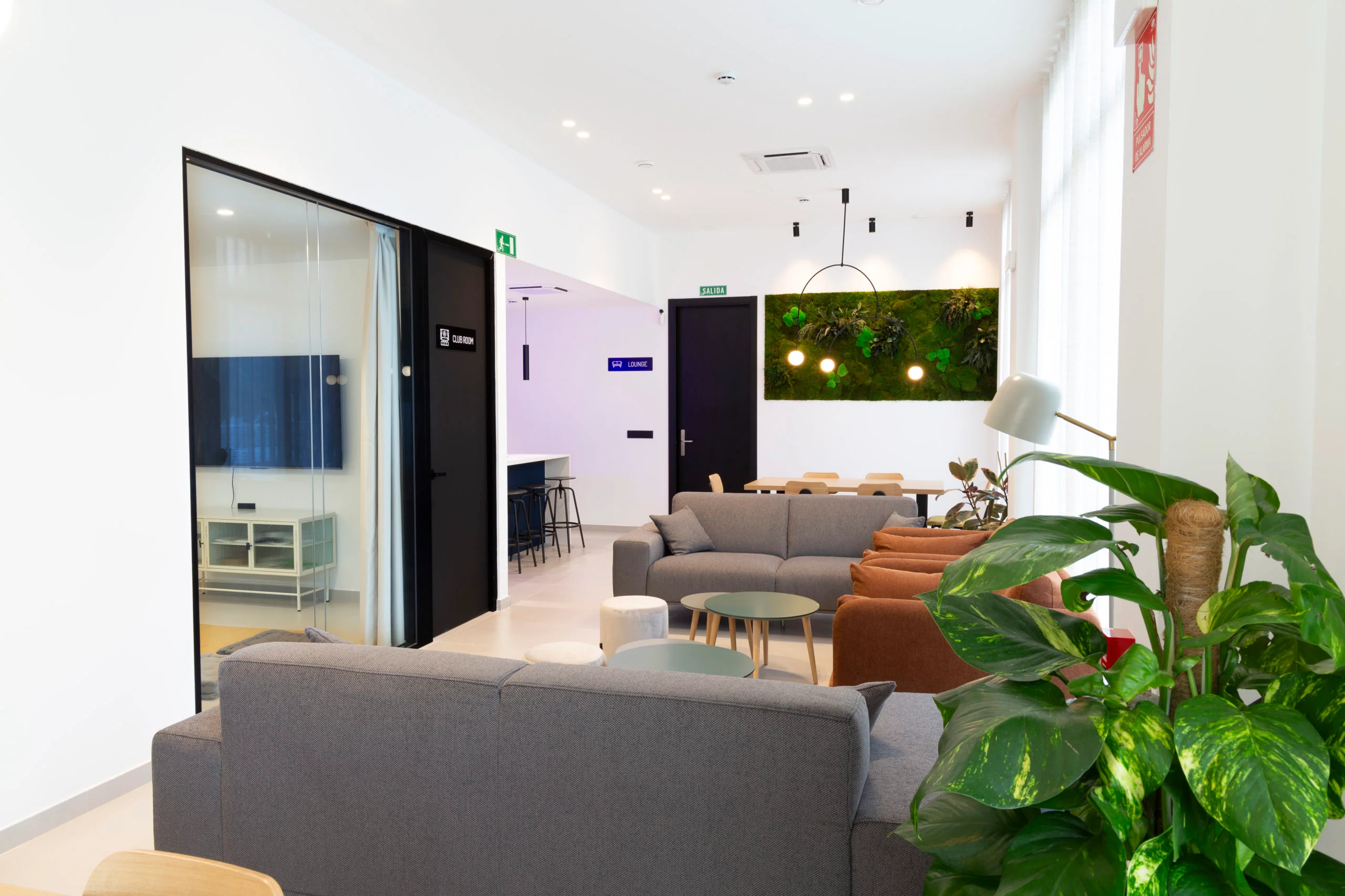 Coliving — Ayotal Living, Valencia