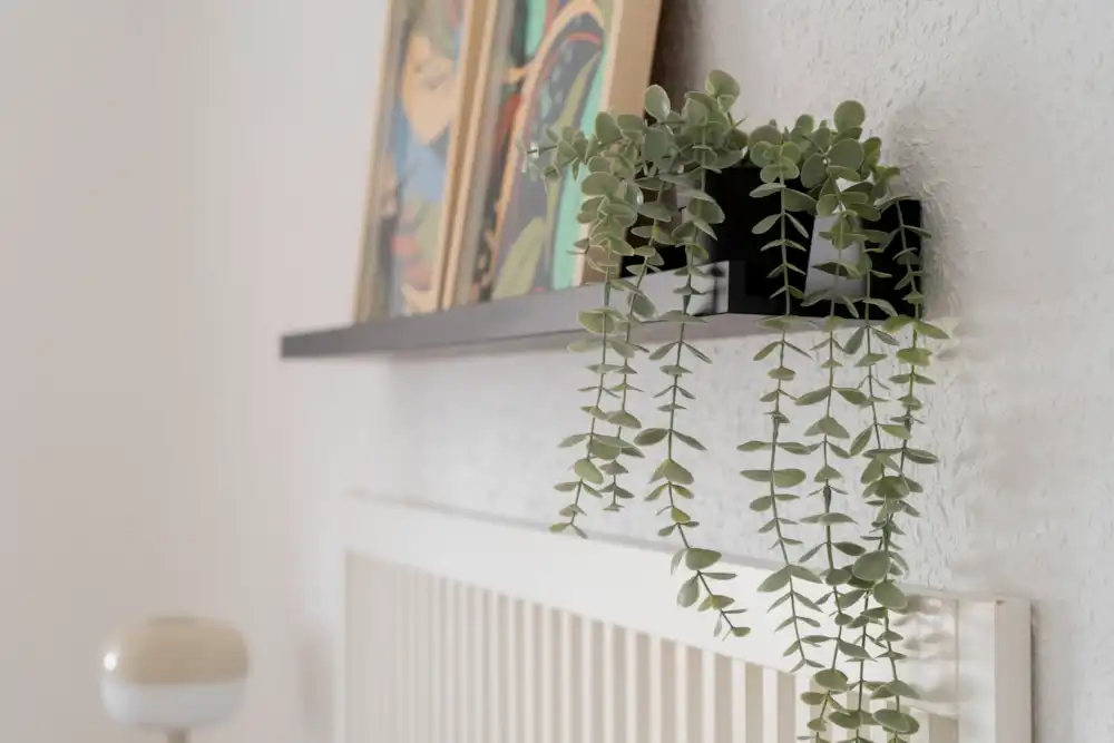 Coliving — Chamberí, Madrid