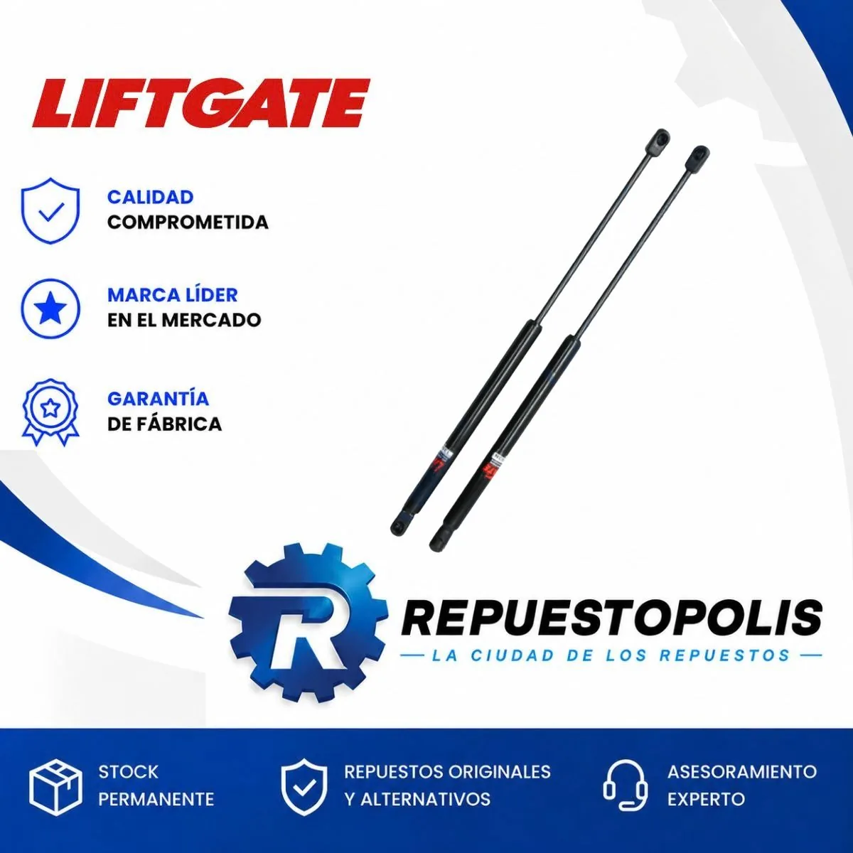 Amortiguador de Portón para Ford Ecosport 02/11 - LIFTGATE