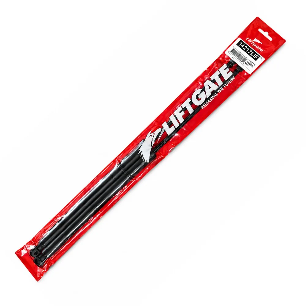 Amortiguador de Portón para Fiat Palio 07/12 - LIFTGATE