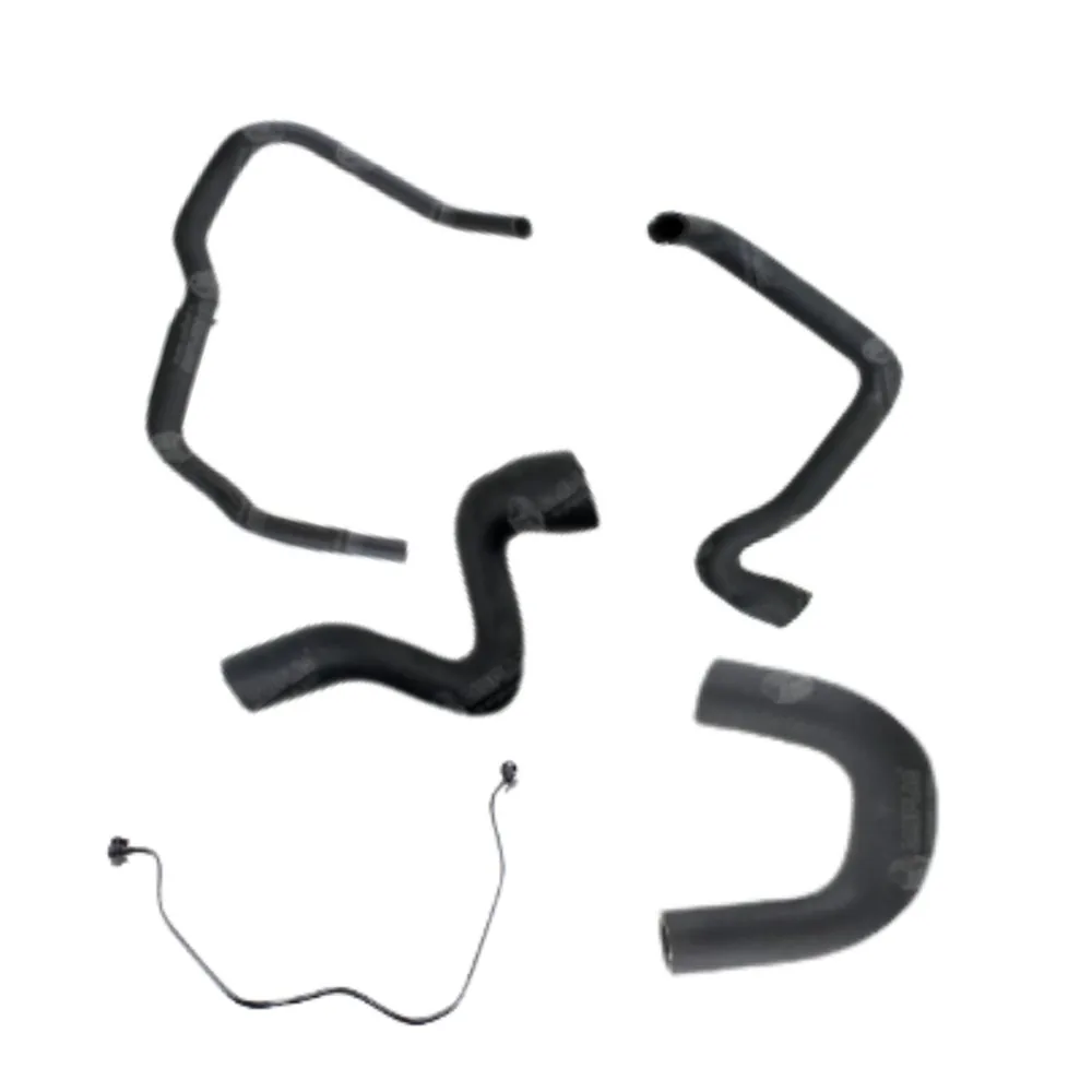 Kit de mangueras para Peugeot Partner 1.6, Citroën Berlingo 1.6 - CAUPLAS