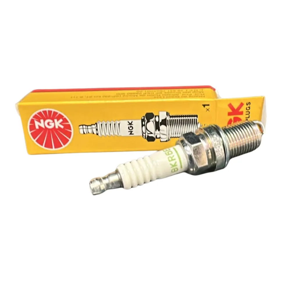 4 Bujías NGK para Renault Duster, Renault Clio, Renault Clio Ii y Renault Fluence y 2 más