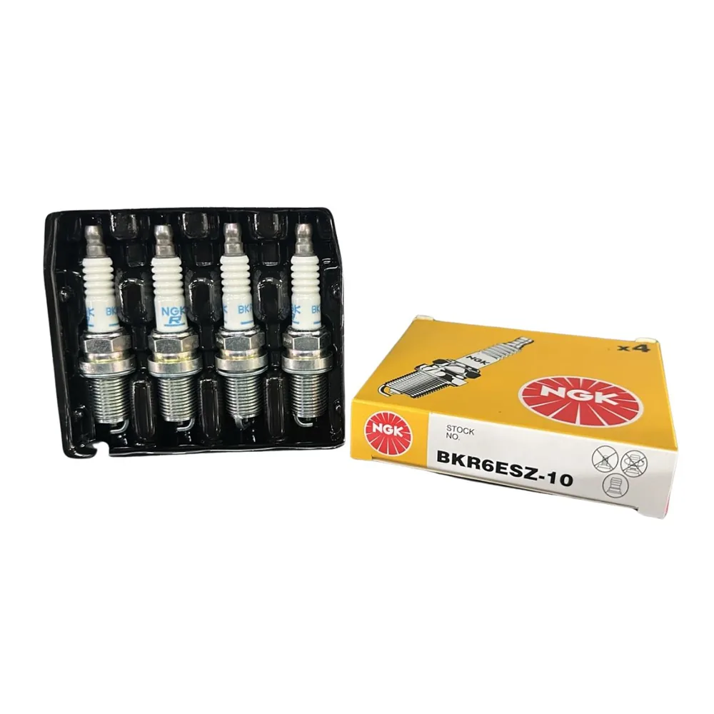 4 Bujías NGK para Renault Duster, Renault Clio, Renault Clio Ii y Renault Fluence y 2 más